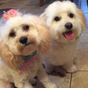 Meet your Posher, Sharon